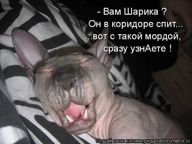   (640x480, 61Kb)