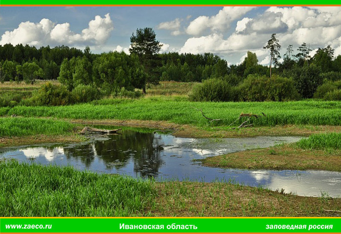 Фото родники ивановская область