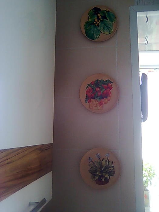 4826692_Foto0633_1_ (525x700, 27Kb)