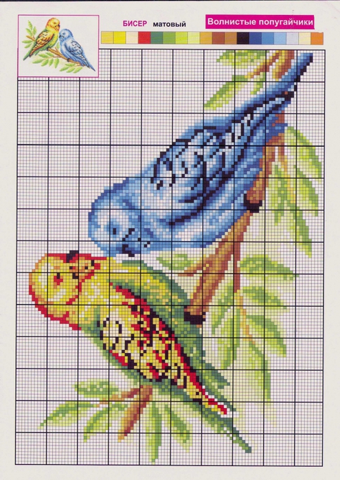 Попугаи вышивка крестом схемы