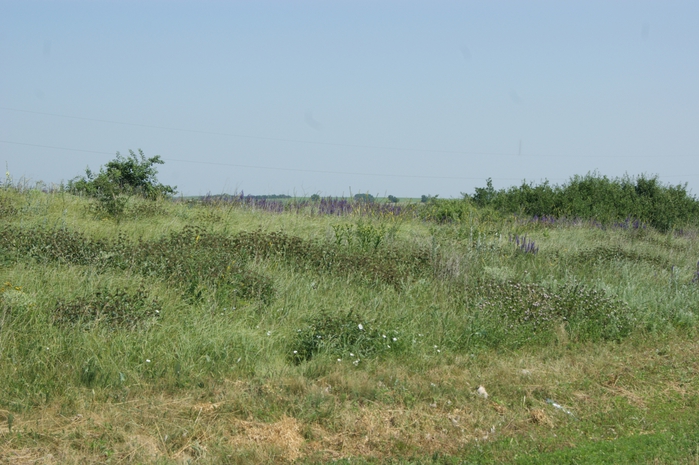 3507063_DSC00896 (700x465, 249Kb)