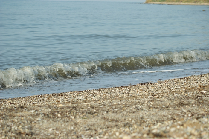 3507063_DSC01037 (700x465, 251Kb)