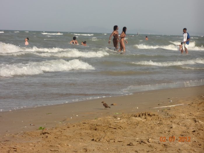 4798334_DSC02672 (700x525, 234Kb)