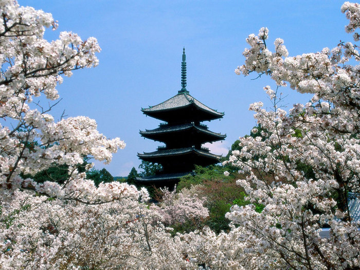 Ninna-Ji_Temple_Kyoto_Japan (700x525, 164Kb)