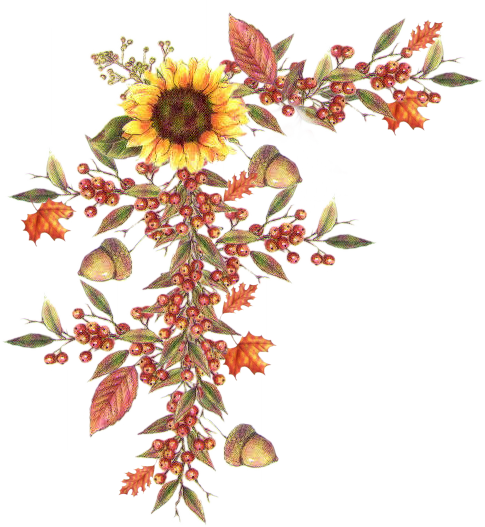 mod_article1458919_1 (485x527, 317Kb)