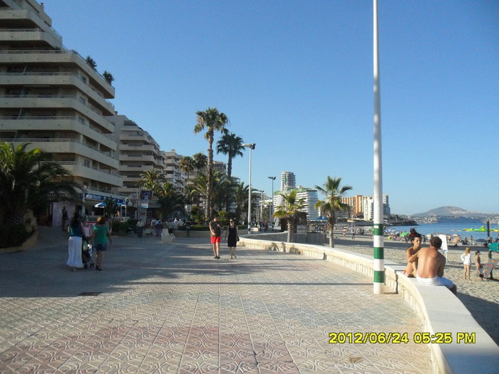 SAM_9315 (700x525, 103Kb)