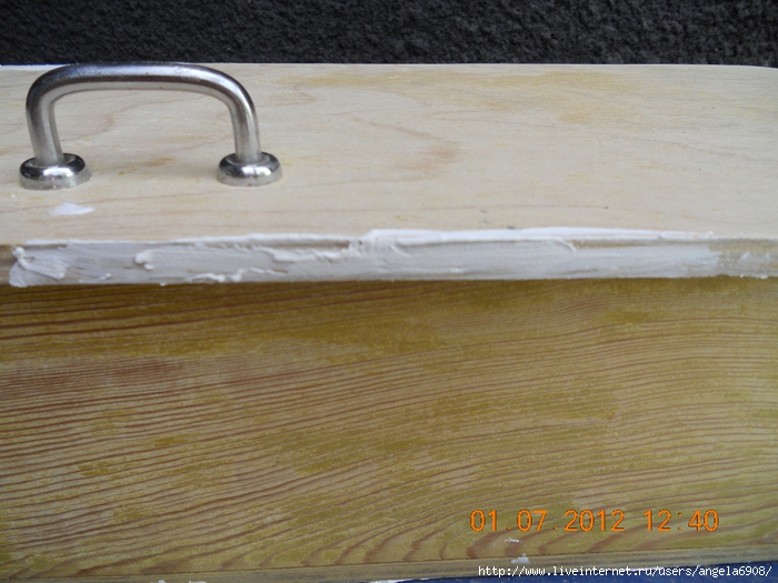 DSCN0449 (700x525, 289Kb)