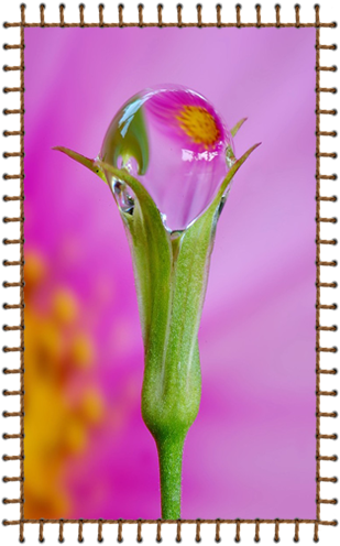 0_6470d_be27cc0c_orig (309x496, 230Kb)