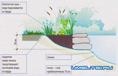 Искусственная глубина. Чертежи прудов с биоплато. Глубина для растений в пруду. Схема построения пруда. Глубина биоплато для пруда.