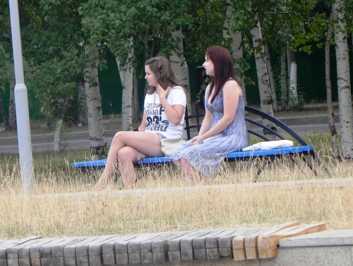 DSCN6690 (700x528, 308Kb)