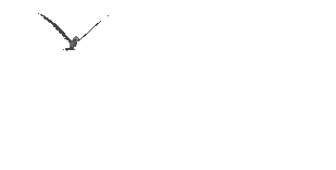 06bdaccaf57a07cb5fa4dbe8f2a147e2 (309x156, 20Kb)