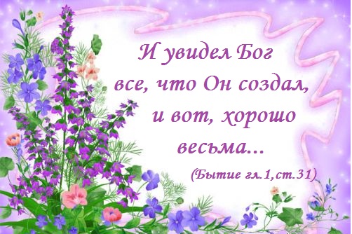 1245607023_0lik.ru_polevye-cvety1 (502x334, 75Kb)