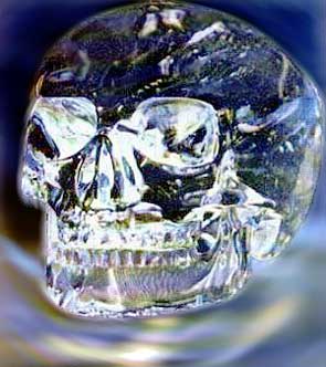 3109898_Cherep_Midjel_Hedjes (295x332, 19Kb)