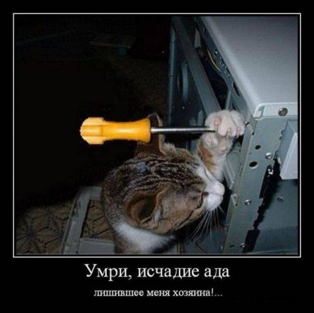 3780815_1341438737_24 (450x448, 31Kb)