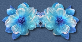 4686903_0_72644_677980f6_M_1_ (262x134, 35Kb)