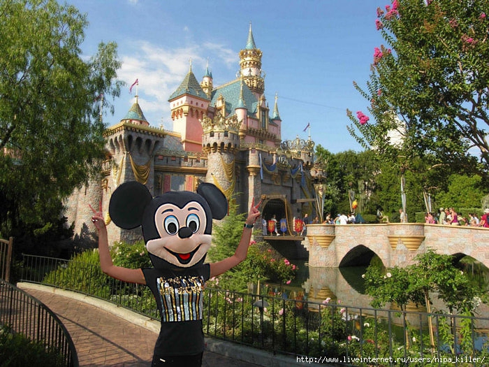 87992494_disneyland (700x525, 339Kb)