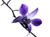 0_4a4ed_5d92be63_XS (100x75, 9Kb)