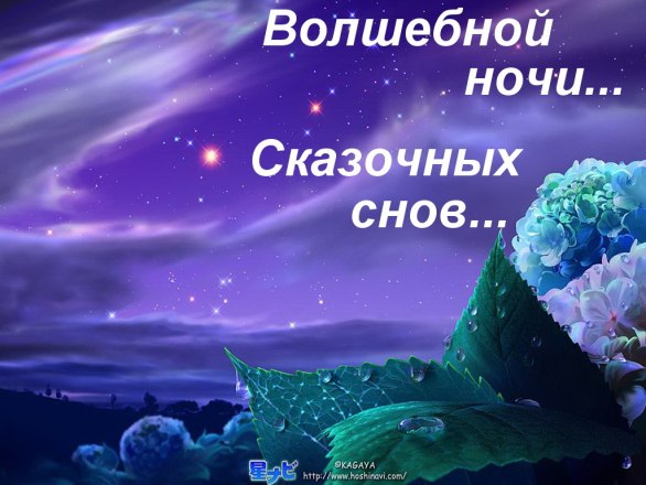Рыбалки картинки, открытки сказочных снов целую