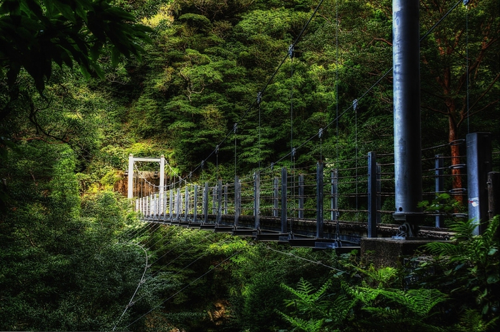 1349085608_1 (700x466, 334Kb)