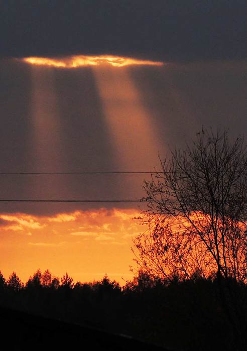 foto09 (492x700, 32Kb)