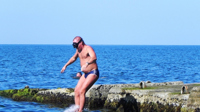 DSCN8098 (700x393, 214Kb)