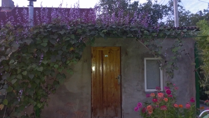  ./2975439_IMAG0005 (700x394, 206Kb)