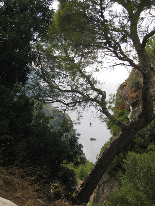 IMG_1092 (525x700, 250Kb)