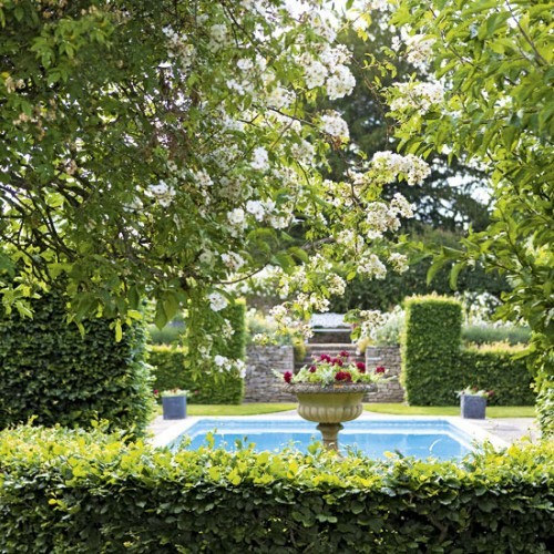 Romantic-Garden-Interior-Design-With-Swimming-Pool-And-Beech-Hedge_large (500x500, 125Kb)