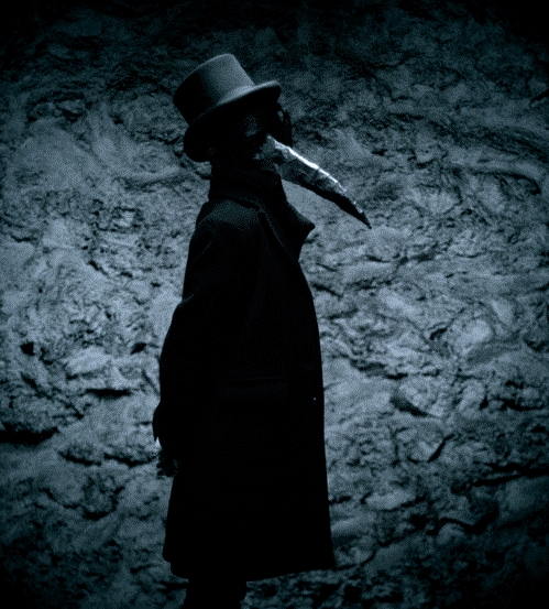 GFRANQ_CATCADAVER_15601125 (499x553, 247Kb)