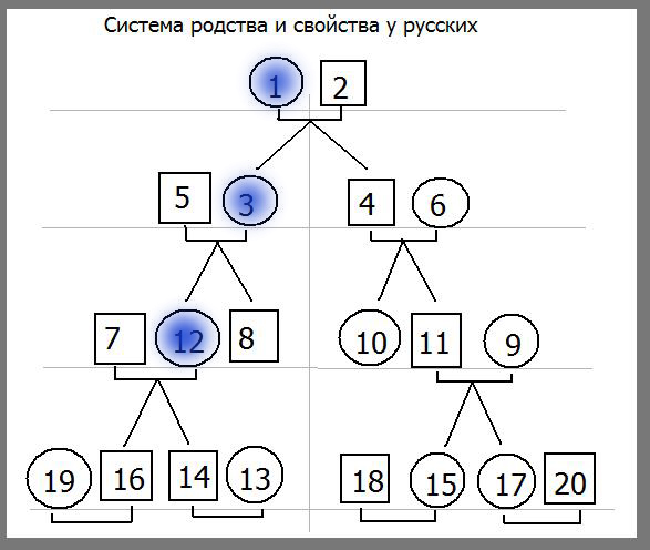 Системы родственных связей. Система родства. Арабская система родства.