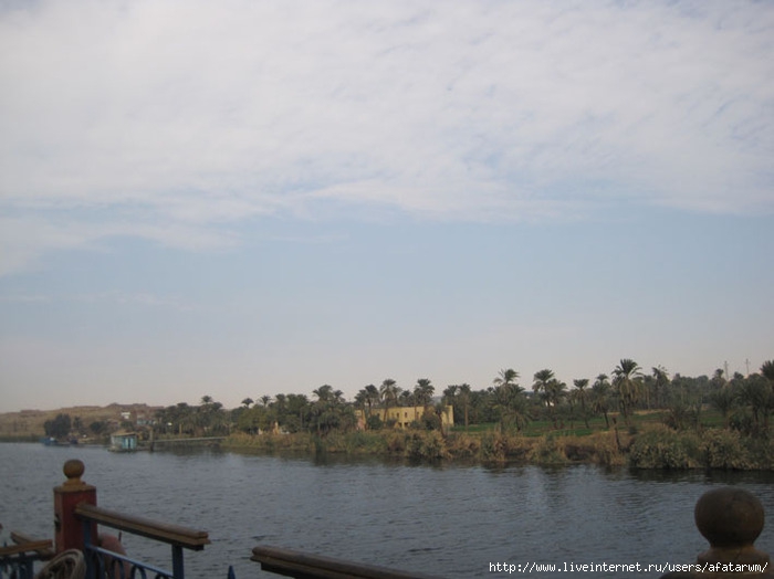 3427777_IMG_8768_copy (700x524, 131Kb)