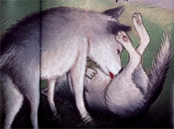 c51841121461247793171 (600x447, 241Kb)