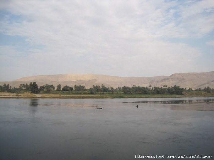 3427777_IMG_8890_copy (700x524, 127Kb)