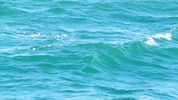DSCN8194 (700x393, 228Kb)