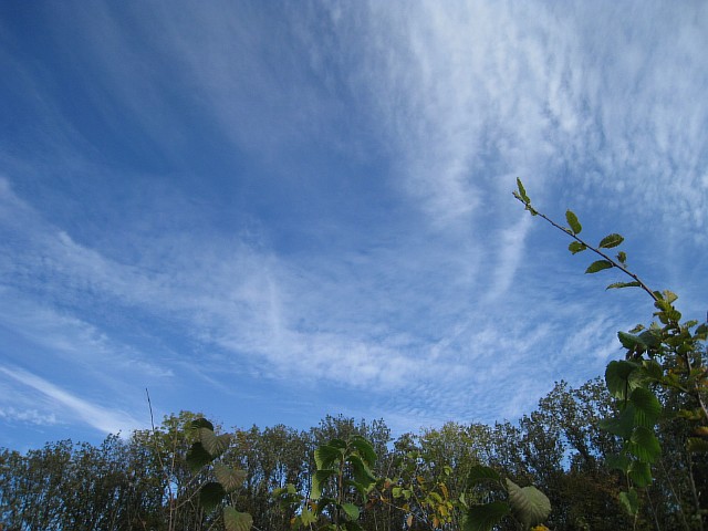  088 (640x480, 72Kb)