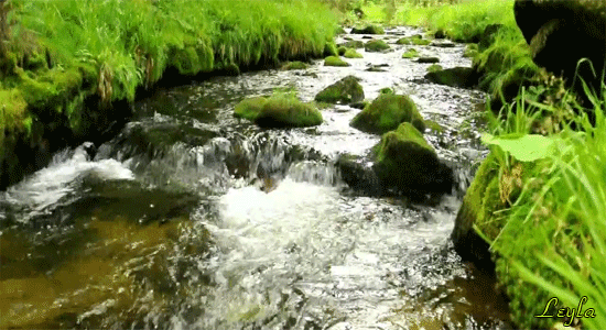 0_b130e_7b0d422b_-1-XL (550x300, 1907Kb)