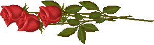1 (300x88, 8Kb)