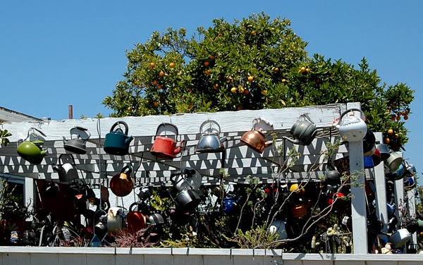 DSC_4514 (600x376, 93Kb)