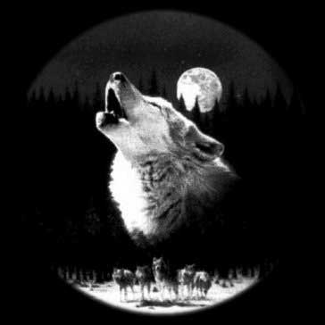 4279149_volk (364x364, 8Kb)
