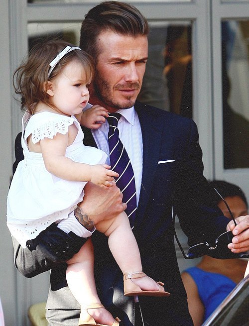 481901_402382539811093_732035964_n_large (500x655, 83Kb)