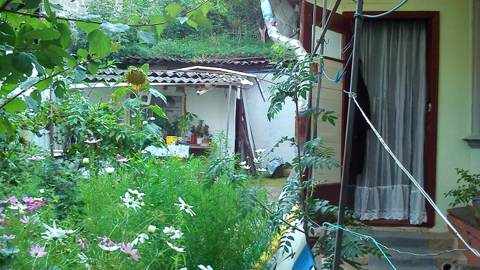 DSC_0300 (700x393, 416Kb)