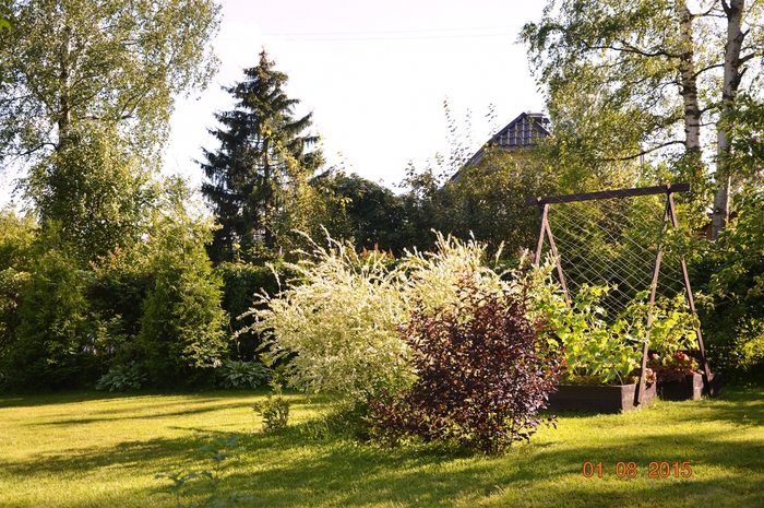 3587765_DSC_4857 (700x465, 357Kb)