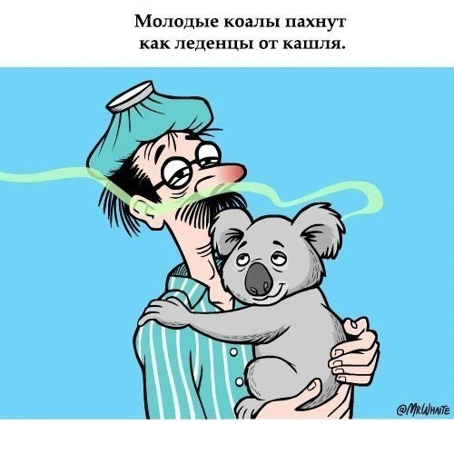 http://img0.liveinternet.ru/images/attach/c/6/124/232/124232260_Interesno1_koala.jpg