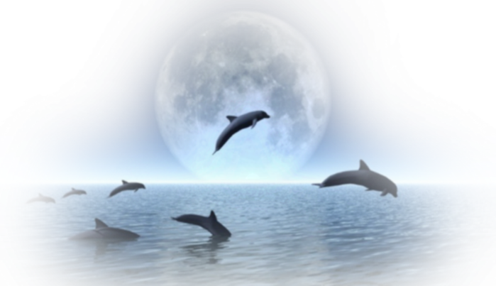 124222685_11h (700x403, 371Kb)