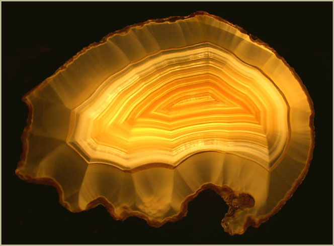 5896810_agat_9 (664x490, 50Kb)