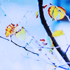 1438709839_7b9dc48d4c4deac800d31ab750559c97d35a8mu (100x100, 39Kb)
