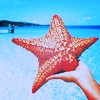 1438710762_83691711_4283427_tumblr_lyz86hfpg11r5wv50o1_500 (100x100, 40Kb)