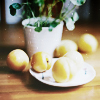 1438710924_92285066_3882888_tumblr_maavwliQUV1r429qho1_500 (100x100, 36Kb)