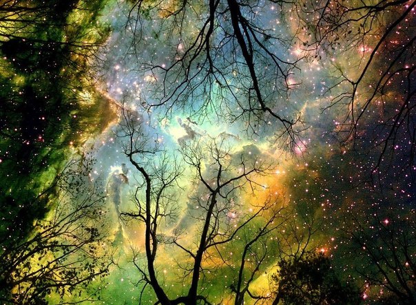 3443731_original (604x443, 118Kb)
