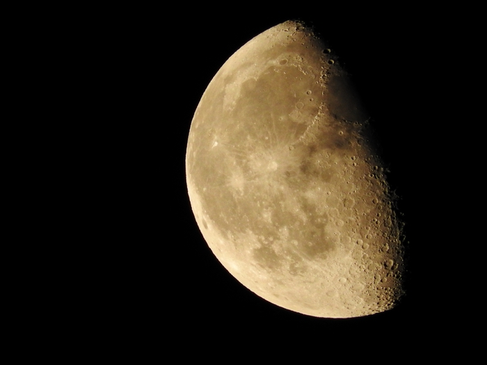 5559494_DSCN0493 (700x525, 90Kb)